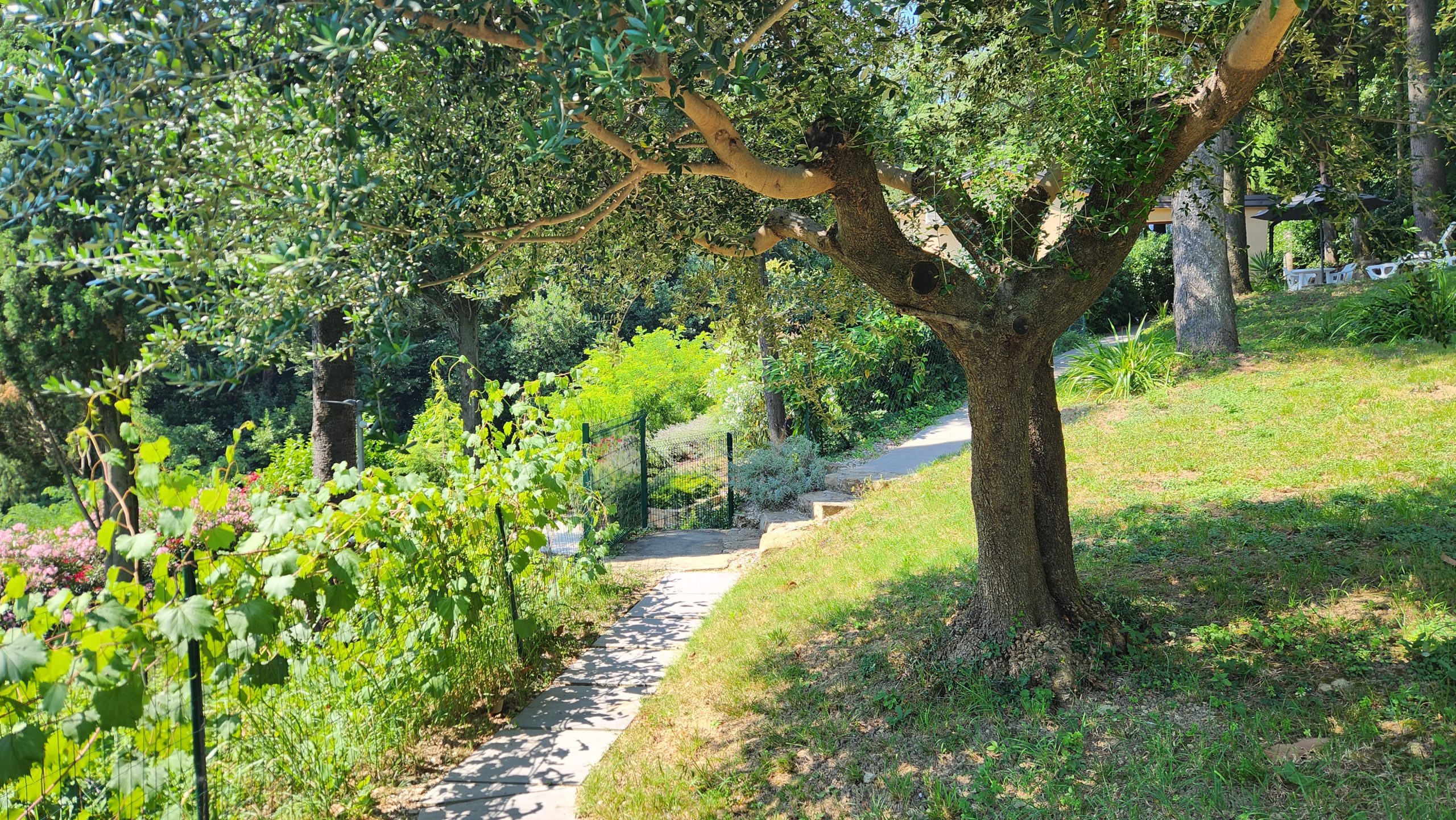 Fiesa Residence Vacation in Slovenia