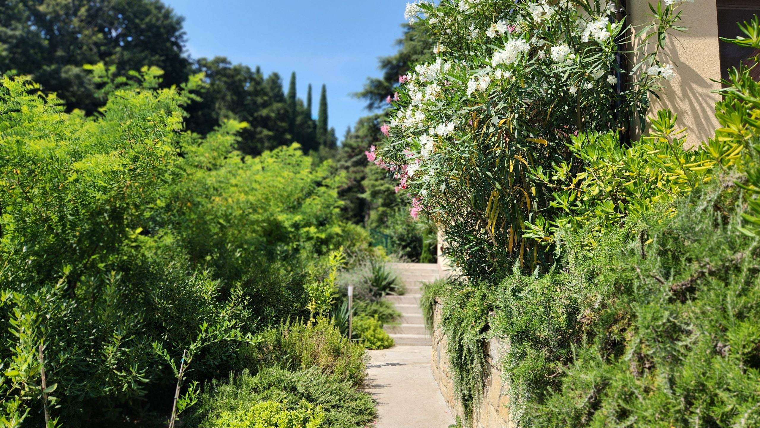 Fiesa Residence Vacation in Slovenia